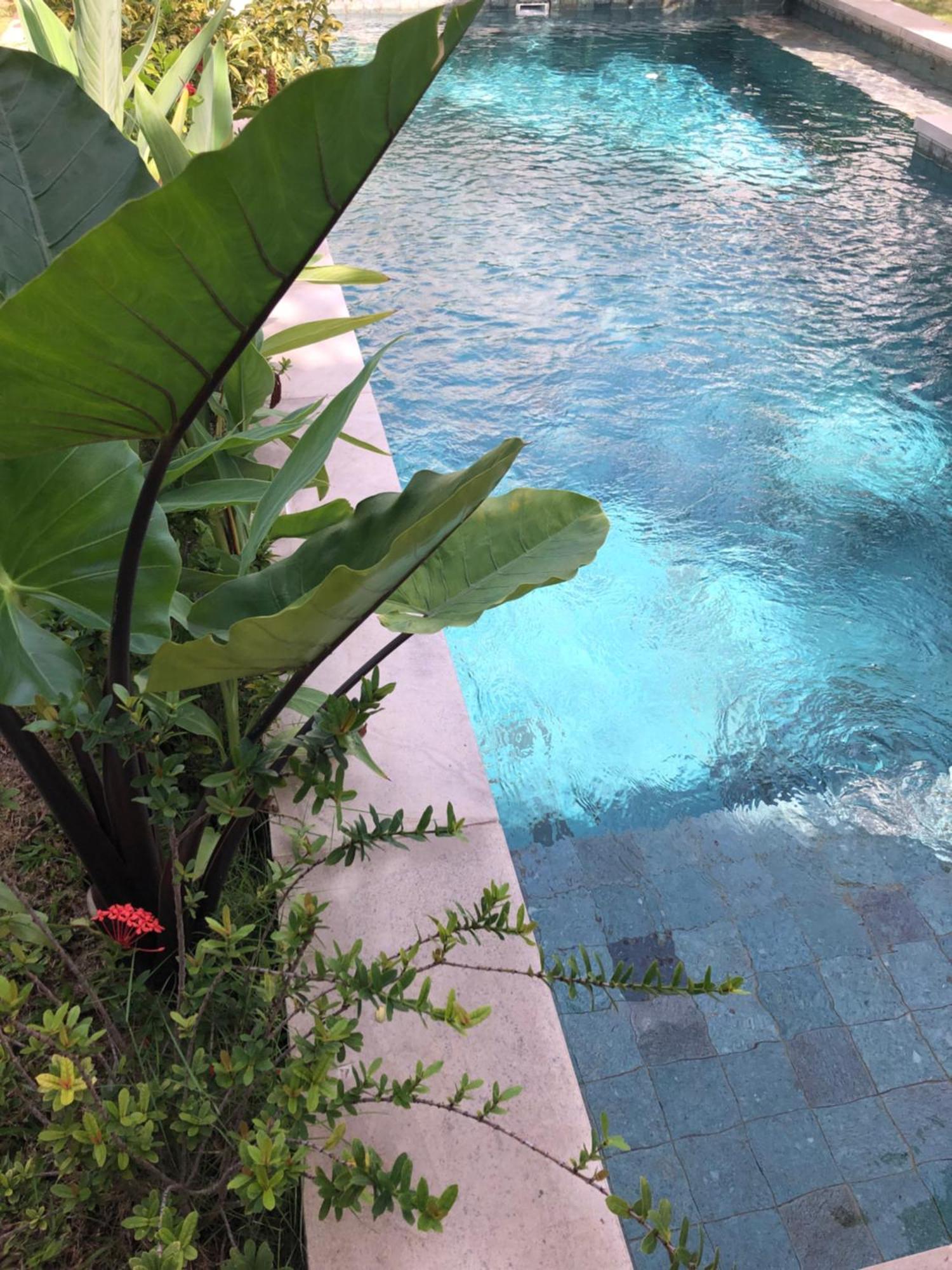 Villa Abhista Seminyak Buitenkant foto